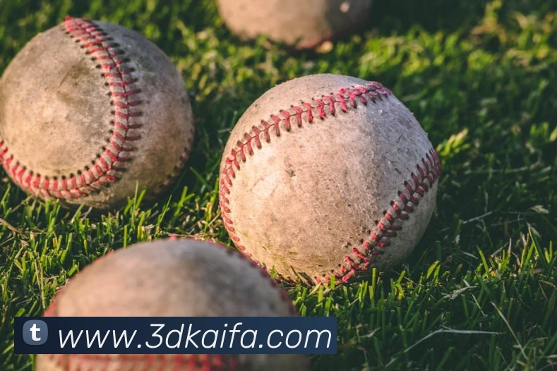 多彩内容专区